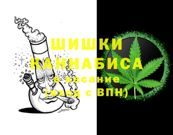 гидра Сосновоборск