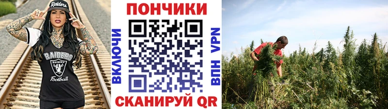 Шишки марихуана AK-47  Жирновск 